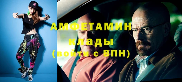 шишки Горнозаводск