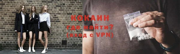 шишки Горнозаводск