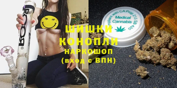 шишки Горнозаводск