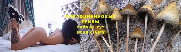 трава Володарск